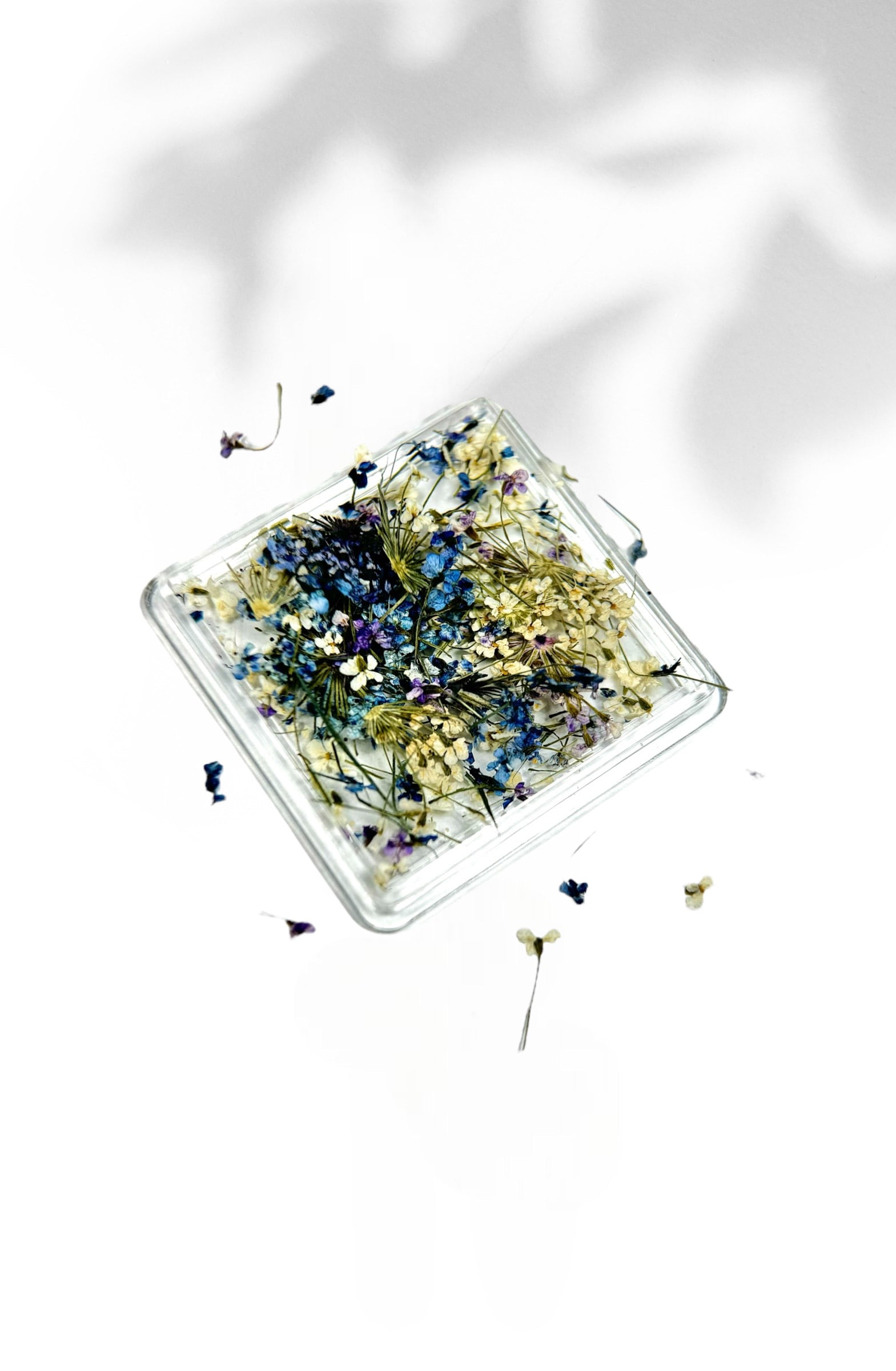 BABF-bloom-art-blu-field BLOOM ART BLU FIELD - Image 1